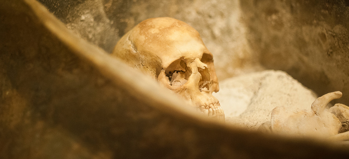 Google Virtual Tour of Verulamium Museum 03