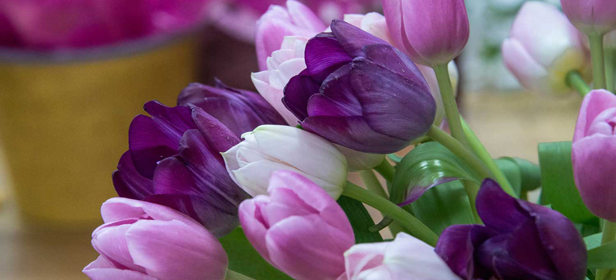 Perfect Moment Florist Google Street View Trusted Tulips