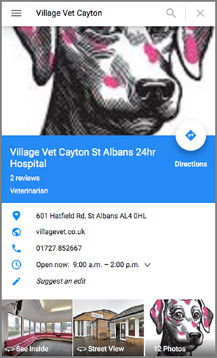 Village Vet 360 Virtual Tour GBP