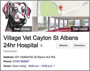 Village Vet 360 Virtual Tour Maps