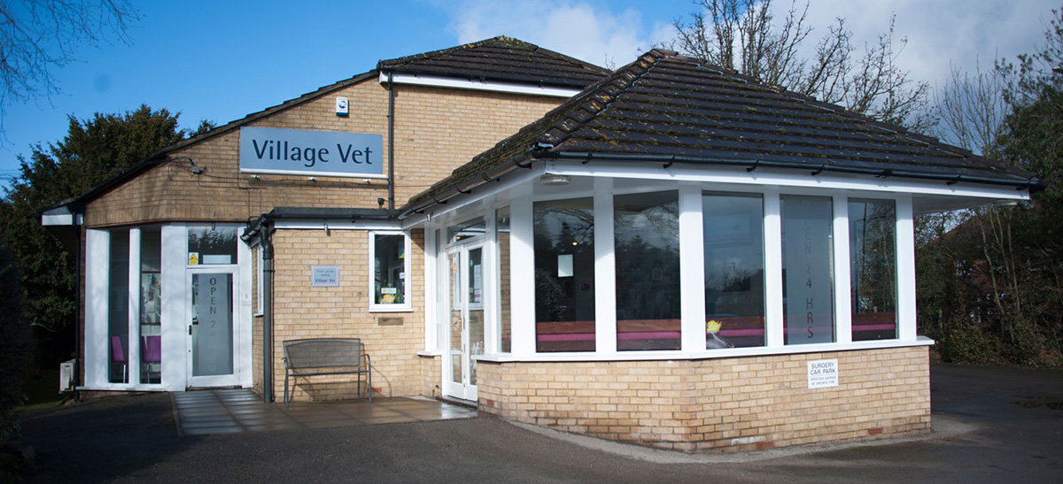 Village Vet 360 Virtual Tour