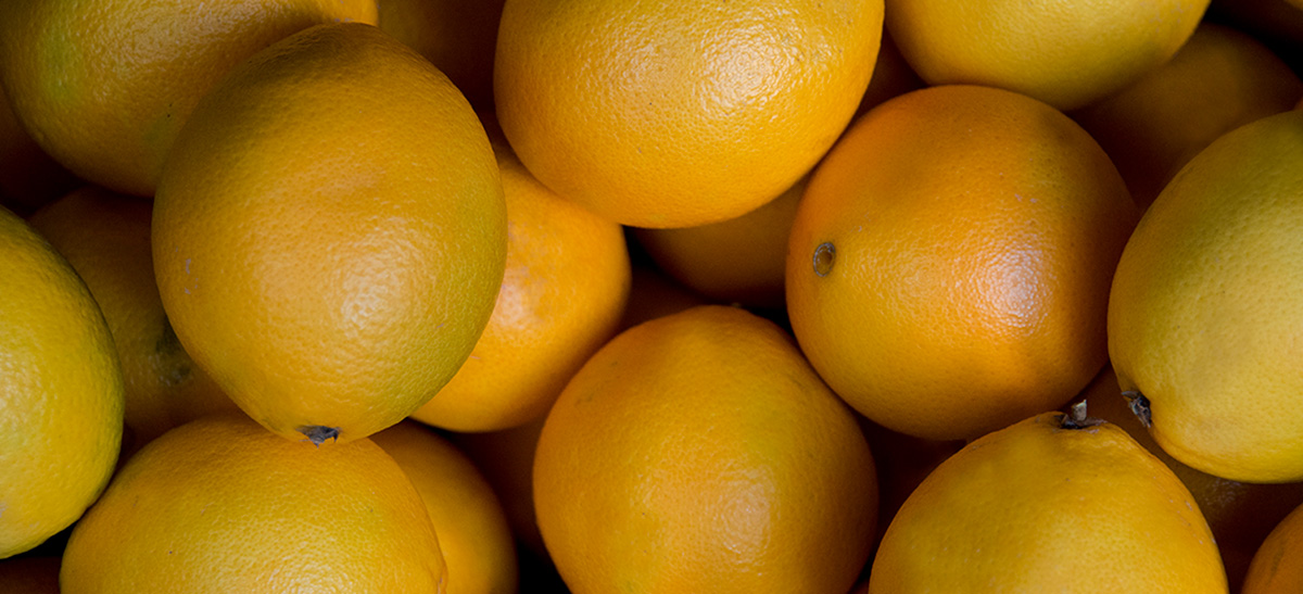 Youjuice 360 Virtual Tour Fruit