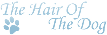 Linda Stone | Owner | The Hair of the Dog